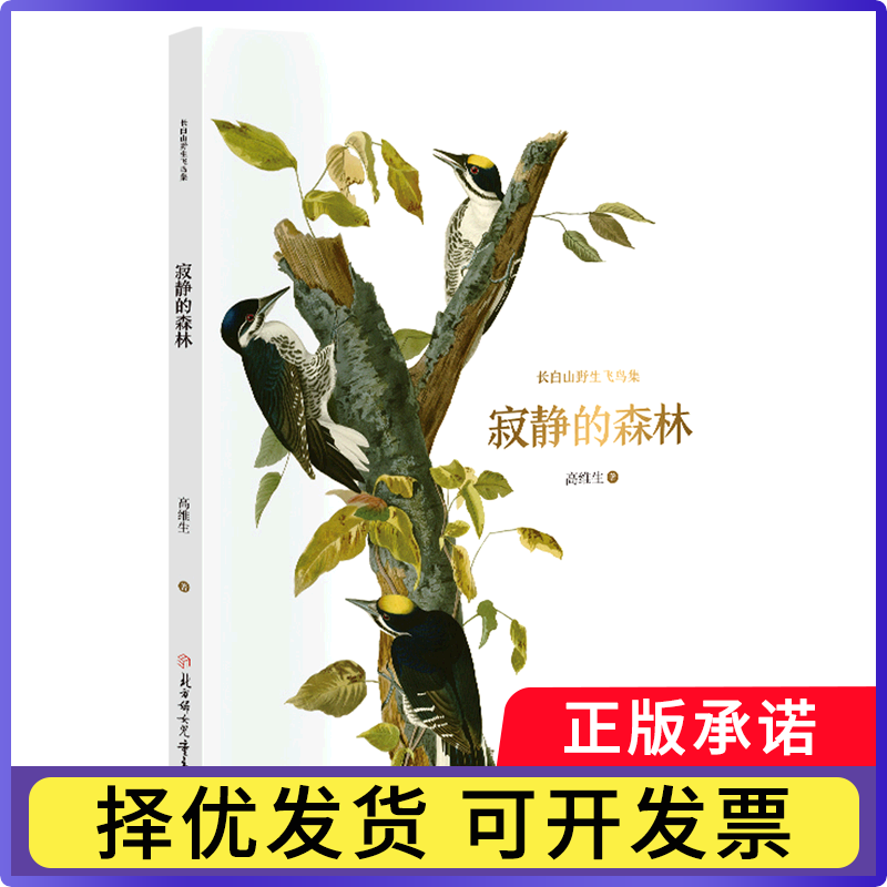 长白山野生飞鸟集&mdash;寂静的森林高维生|责编:曲长军9787558573194北方妇儿书籍\/杂志\/报纸/儿童读物/童书/儿童文学