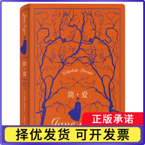 简·爱(英)夏洛蒂·勃朗特|译者:宋兆霖9787533970871浙江文艺书籍/杂志/报纸/文学/外国文学小说/英国文学/欧洲文学
