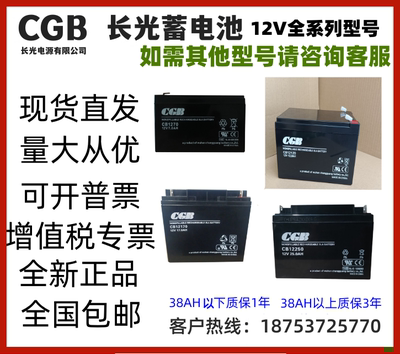 CGB长光蓄电池CB1250直流屏UPS