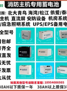 赛特蓄电池BT12M24AT营口天成消防主机海湾松江12V7/17/38ah