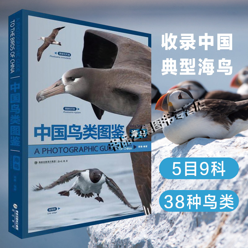 【正版现货】中国鸟类图鉴(海鸟)黄秦著中国鸟类分类法观鸟野鸟生存海洋鸟类 信天翁海燕海雀等 海峡书局