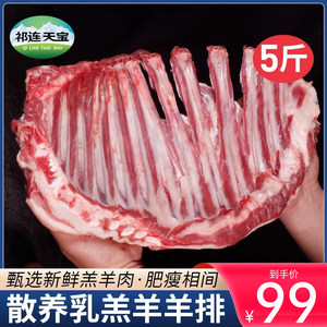 羊排新鲜羊肉5斤草原散养