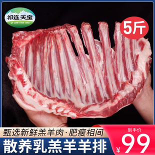 羊排新鲜羊肉5斤草原散养乳羔羊肋排烧烤食材手把羊肉