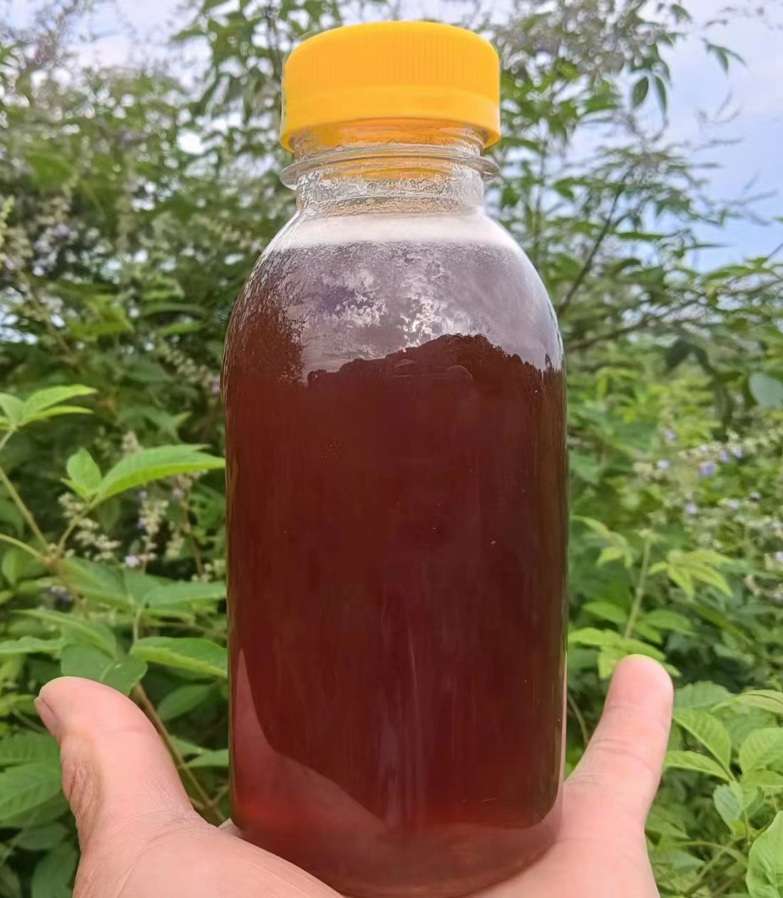 土蜂蜜纯正野生天然深山百花蜜正宗无添加成熟结晶蜜（拍二发三）