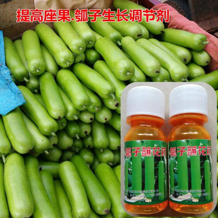 瓠子生长剂叶面肥瓠子点花药 瓠子蘸花药 葫芦瓠子专用瓠子顺直剂