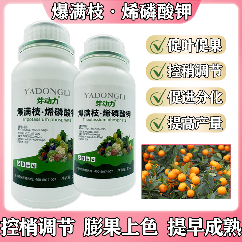 芽动力爆满枝烯磷酸钾控旺增产