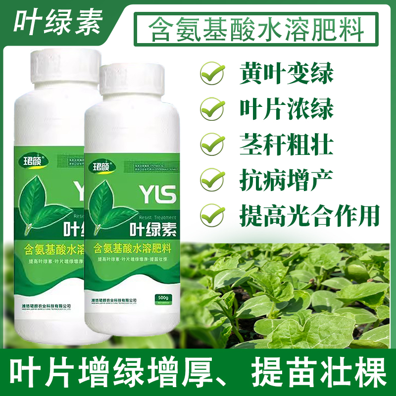 珺颜叶绿素叶片增绿增厚提苗壮棵