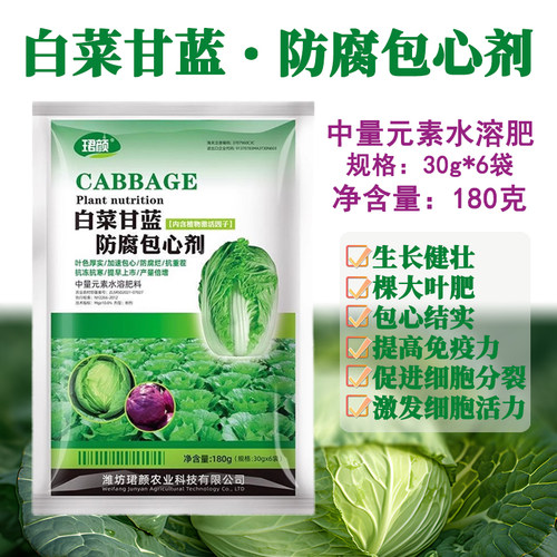 珺颜白菜包心剂防腐叶片厚实包心