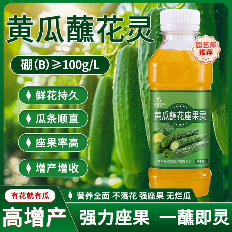 黄瓜花多花大座果灵增产增收