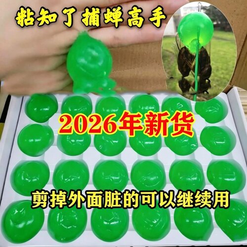 抓知了神器户外捕蝉工具绿球套餐