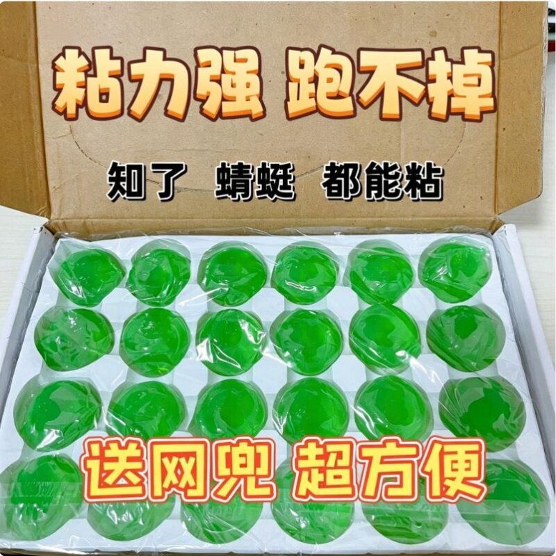 抓爬叉知了节流鬼马季辽爬蚱肉蛋