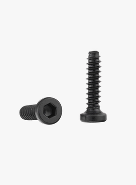 拓竹3D打印模型专用标准零件 BT2x8 圆柱头自攻螺丝 (20个) AA019