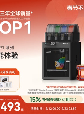 拓竹P1系列 3D打印机 桌面家用FDM 全自动调平 大尺寸多色高速 【大陆版】
