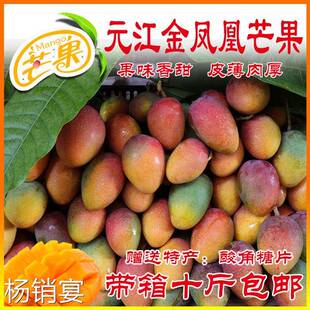 云南元江金凤凰芒果 热带水果新鲜树上熟核小多汁金凤凰贵妃芒果
