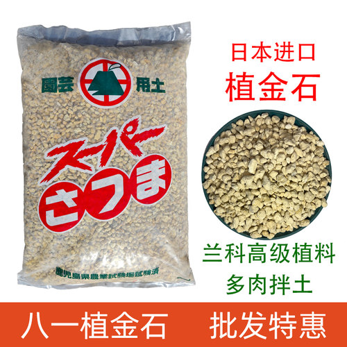 中村植金石兰科专用日本进口兰花