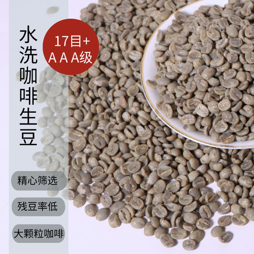 水洗AAA 咖啡生豆 17目 卡蒂姆G1 26年当季 普洱孟连咖啡阿拉比卡