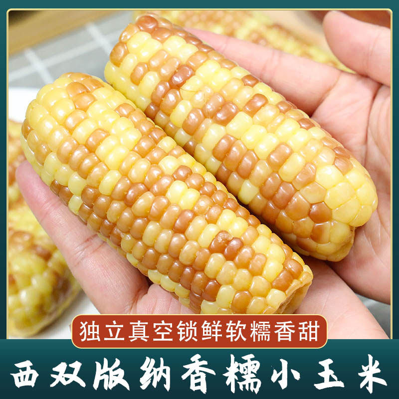 云南西双版纳香糯小玉米新鲜玉米真空包装即食花糯粘甜玉米棒