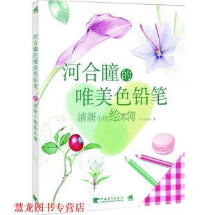 日 社 书籍 中国青年出版 黄文娟者 河合瞳作 清新小物绘本簿 唯美色铅笔 河合瞳 正版