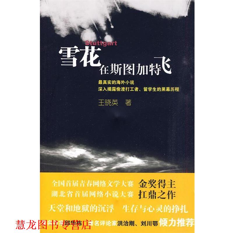【正版书籍】 雪花在斯图加特飞 王晓英　著 长江文艺出版社