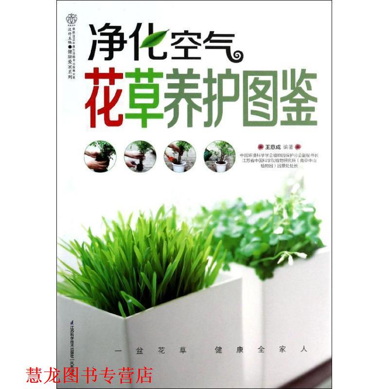 【正版书籍】 净化空气花草养护图鉴 王意成 江苏科学技术出版社
