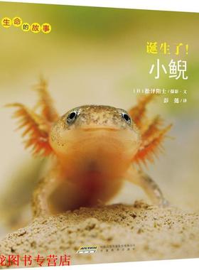 【正版书籍】 诞生了小鲵 生命的故事 [日]松泽阳士摄影文 安徽教育出版社