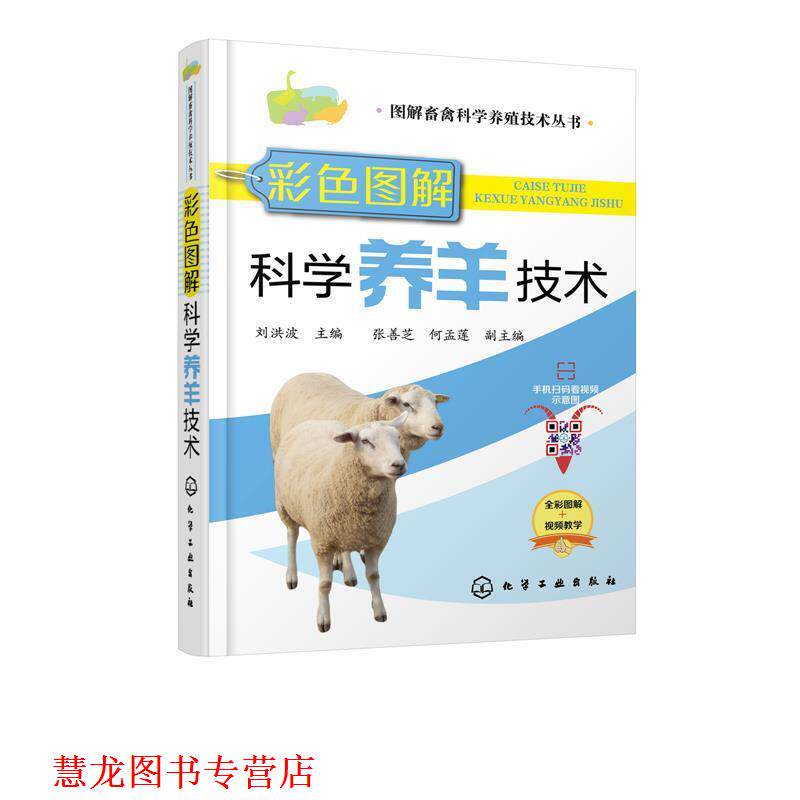 【正版书籍】 彩色图解科学养羊技术 刘洪波 著 化学工业出版社有限公司