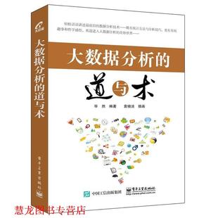 【正版书籍】 大数据分析的道与术 毕然 编著 电子工业出版社