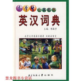 小学生全真图解英汉词典 书籍 胡敏学 主编 社 北京师范大学出版 正版