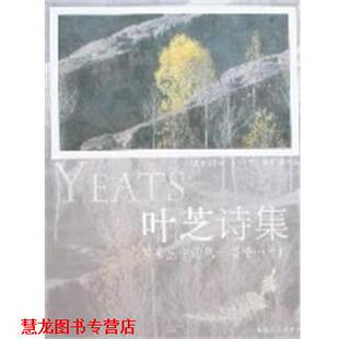 【正版书籍】 叶芝诗集 袁可嘉 译 太白文艺出版社