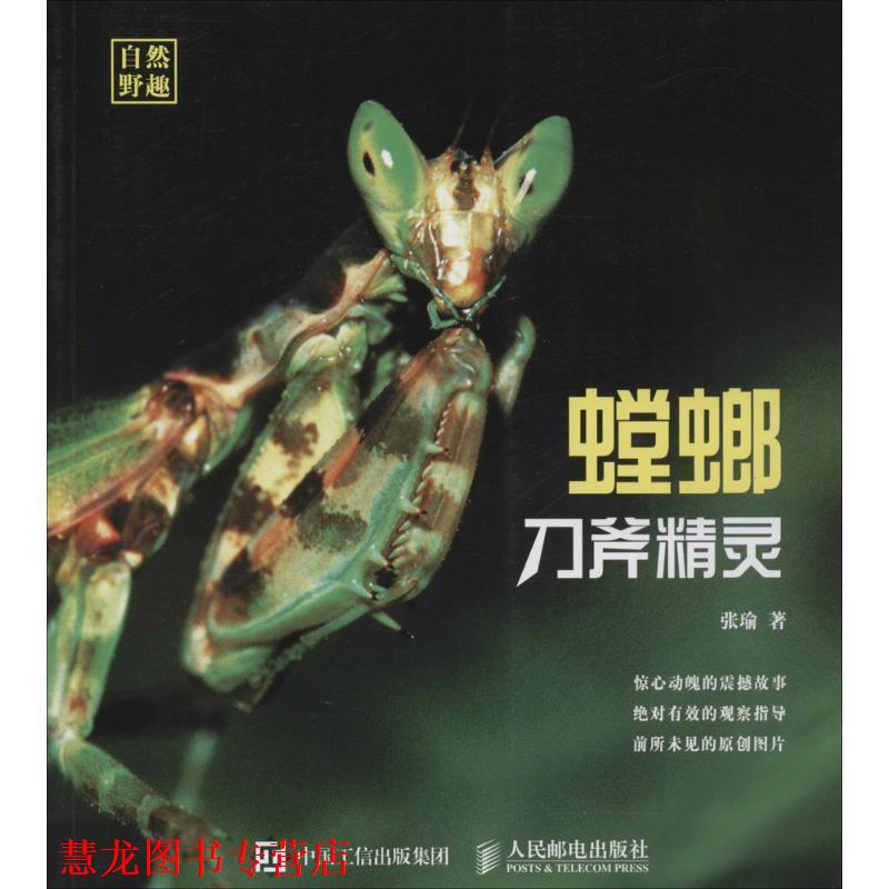 【正版书籍】 刀斧精灵 螳螂 张瑜 编著 人民邮电出版社