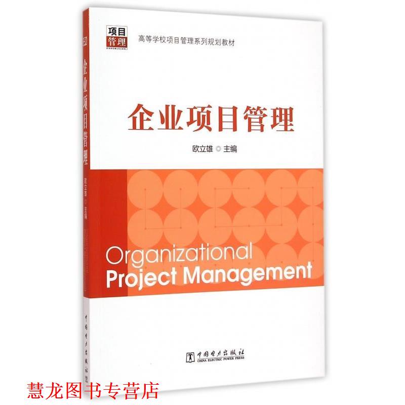 【正版书籍】 企业项目管理 欧立雄 编 中国电力出版社