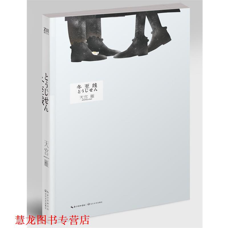 【正版书籍】 S冬至线 天宫雁 著 长江文艺出版社