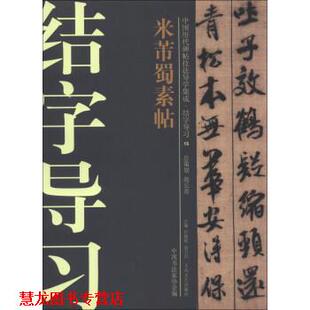 【正版书籍】 中国历代碑帖技法导学集成·结字导习：米芾蜀素帖 舒献忠著,许晓俊,袁卫民,中国书法家协会 编 大众文艺出版社