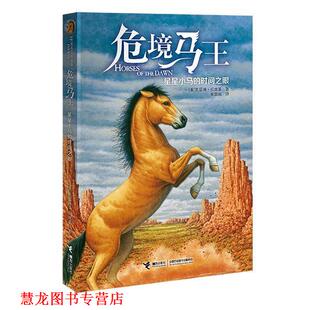【正版书籍】 危境马王1:星星小马的时间之眼 【美】凯瑟琳·拉丝基 接力出版社