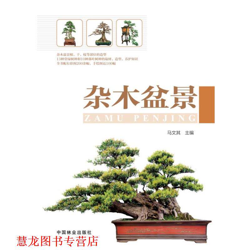 【正版书籍】 杂木盆景 马文其 著 中国林业出版社