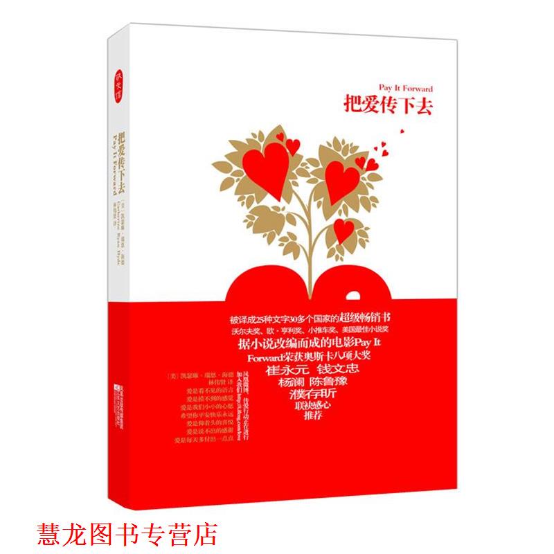 【正版书籍】 把爱传下去 (美)凯瑟琳·瑞恩·海德 江苏文艺出版社