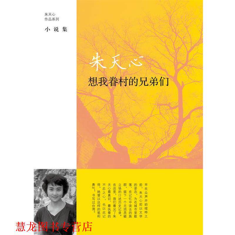 【正版书籍】 想我眷村的兄弟们 [中国台湾]朱天心著 上海译文出版社