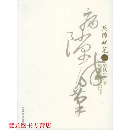 【正版书籍】 病隙碎笔 史铁生 陕西师范大学出版社