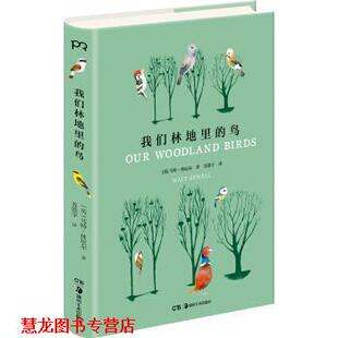 【正版书籍】 我们林地里的鸟 [英]马特·休厄尔,苏澄宇 湖南美术出版社