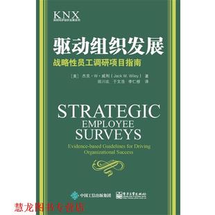 于文浩 书籍 美 战略性员工调研项目指南 田川农 李仁根 著 驱动组织发展 杰克·W·威利 Wiley 电子工 译 Jack 正版
