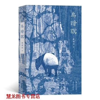 【正版书籍】 乌暗暝 黄锦树 著 上海文艺出版社