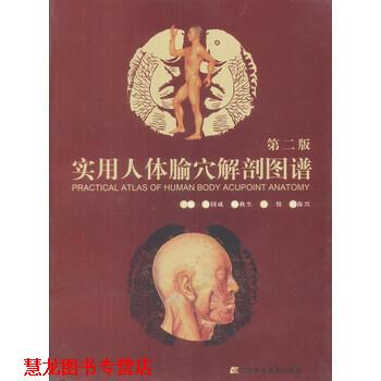【正版书籍】 实用人体腧穴解剖图谱 徐国成,韩秋生,刘悦 辽宁科学技术出版社
