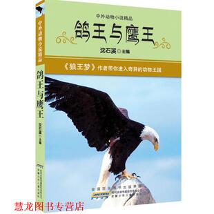 中外动物小说精品·鸽王与鹰王 书籍 沈石溪 主编 社 安徽少年儿童出版 正版