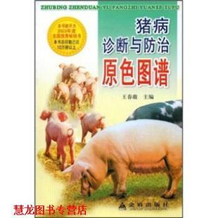 【正版书籍】 猪病诊断与防治原色图谱 王春傲 编 金盾出版社