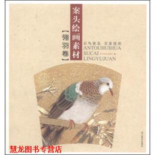 【正版书籍】 案头绘画素材 四川美术出版社 编 四川美术出版社