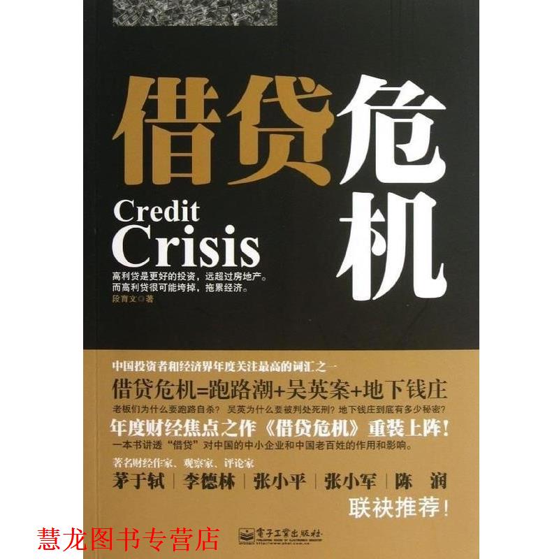 【正版书籍】 借贷危机 段育文 电子工业出版社