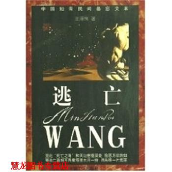 【正版书籍】 逃亡 中国知青民间备忘文本 王泽恂 中国工人出版社