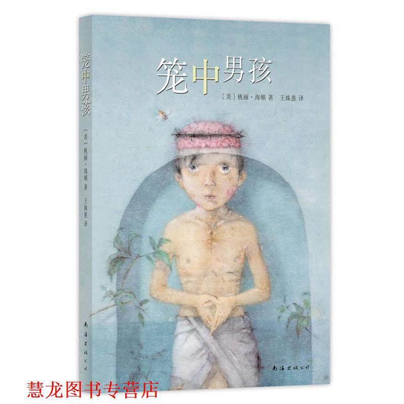 【正版书籍】 笼中男孩 (美)桃丽.海顿 南海出版公司出版社
