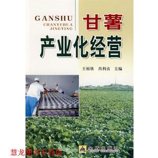 甘薯产业化经营 王裕欣 肖利贞 金盾出版 书籍 主编 社 正版