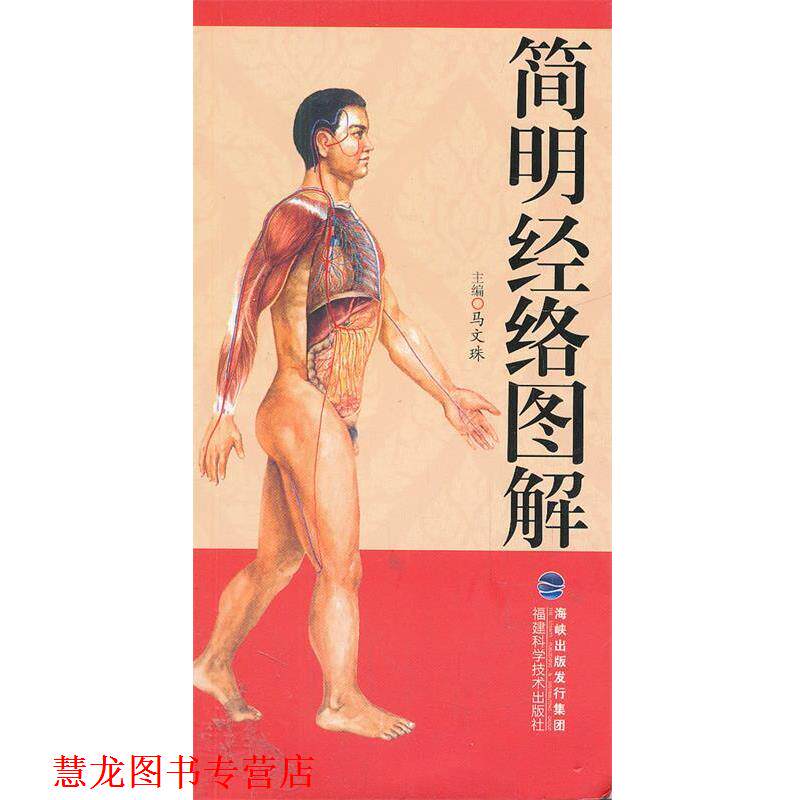 【正版书籍】 简明经络图解 马文珠 福建科技出版社